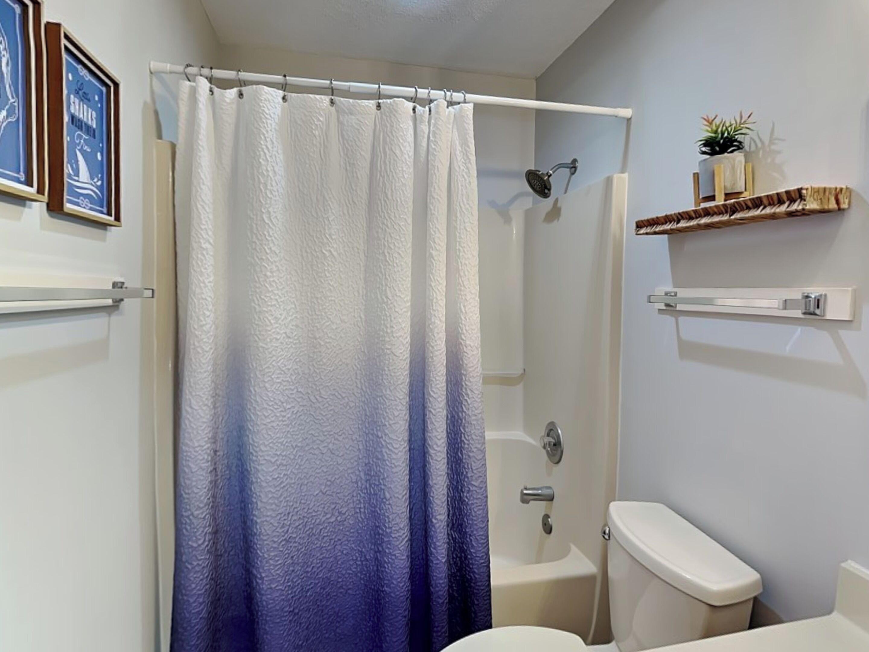 A bathroom with a shower, toilet, and a shelf with a plant.