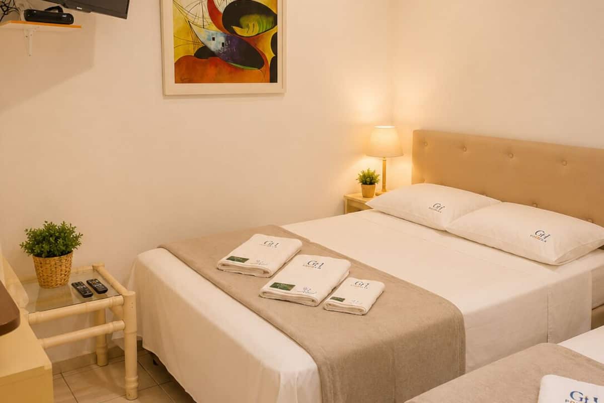 Habitación de hotel con dos camas, televisor, un cuadro, lámpara y una mesita con planta y mandos a distancia.