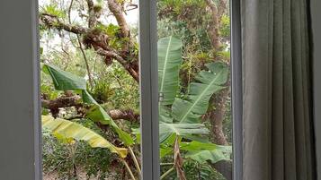 Basic Suite, Lanai, Garden View | View from room