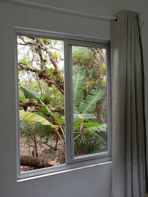 Suite bàsica, pati hawaià, vistes al jardí | Vista des de l'habitació