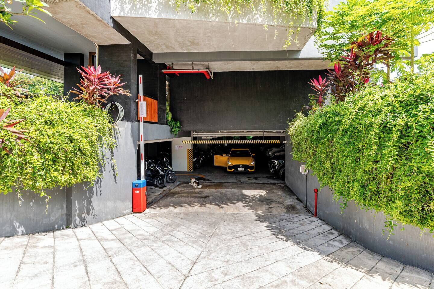 Un espace de stationnement couvert avec une voiture jaune, des murs en béton et de la verdure.