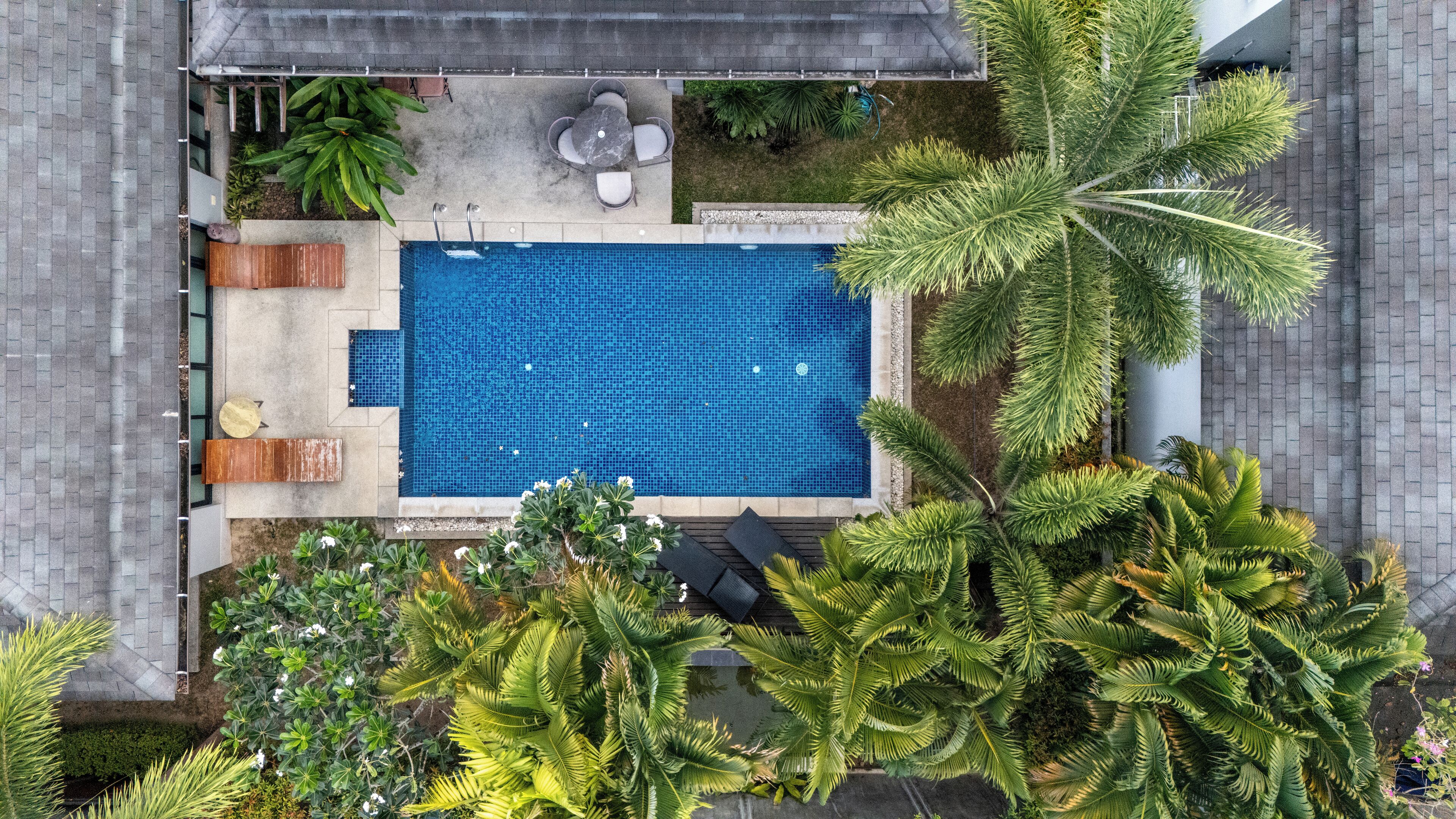 Vue aérienne d’une piscine entourée de plantes tropicales et d’un espace patio aménagé avec des sièges.