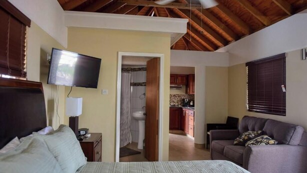 Une chambre à coucher avec un lit, une télévision, un bureau et un ventilateur de plafond.