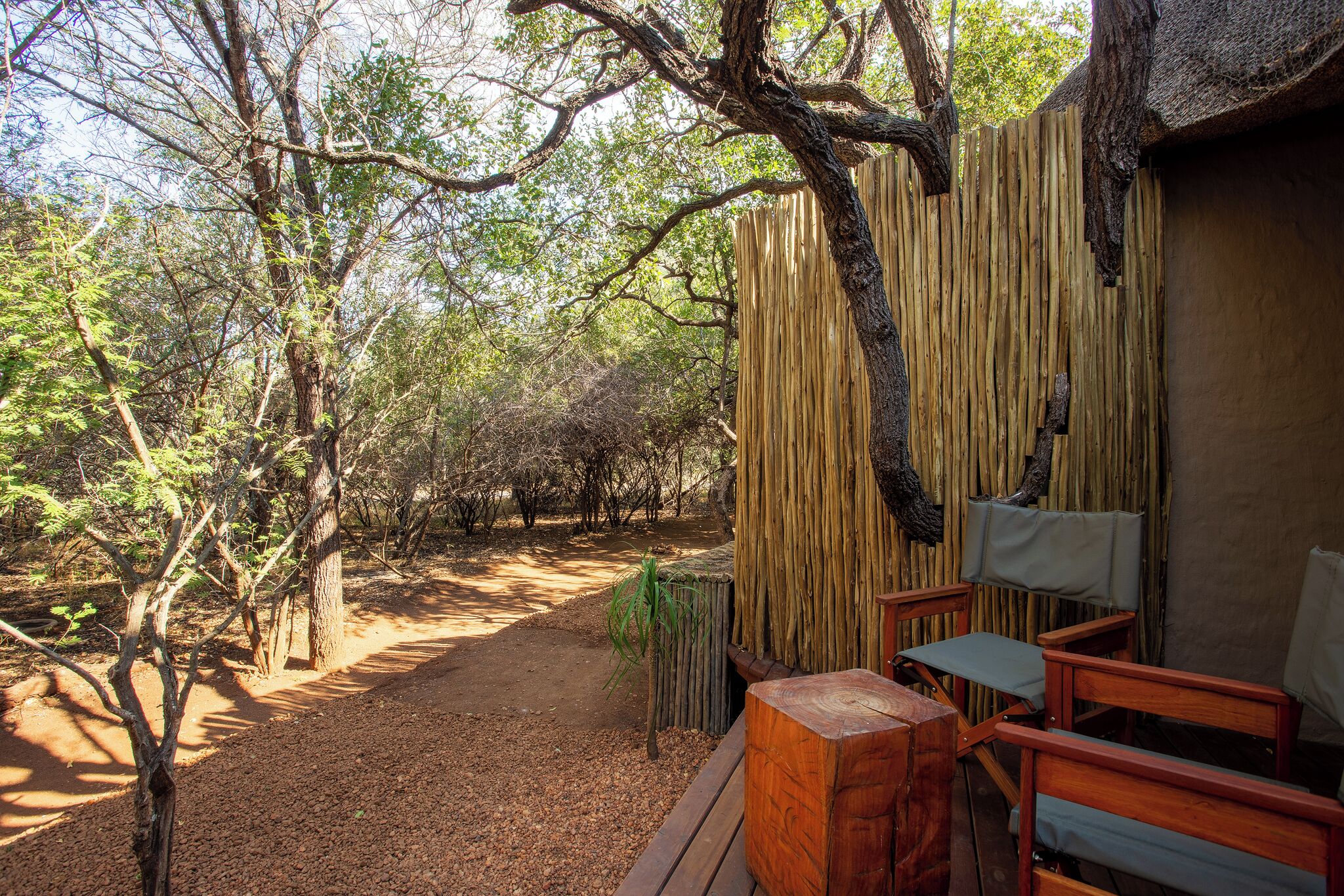 A rustic wooden bench and a thatched roof structure in a forested area.