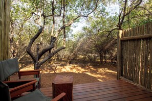 Habitación doble, vista al jardín | Vista desde la habitación