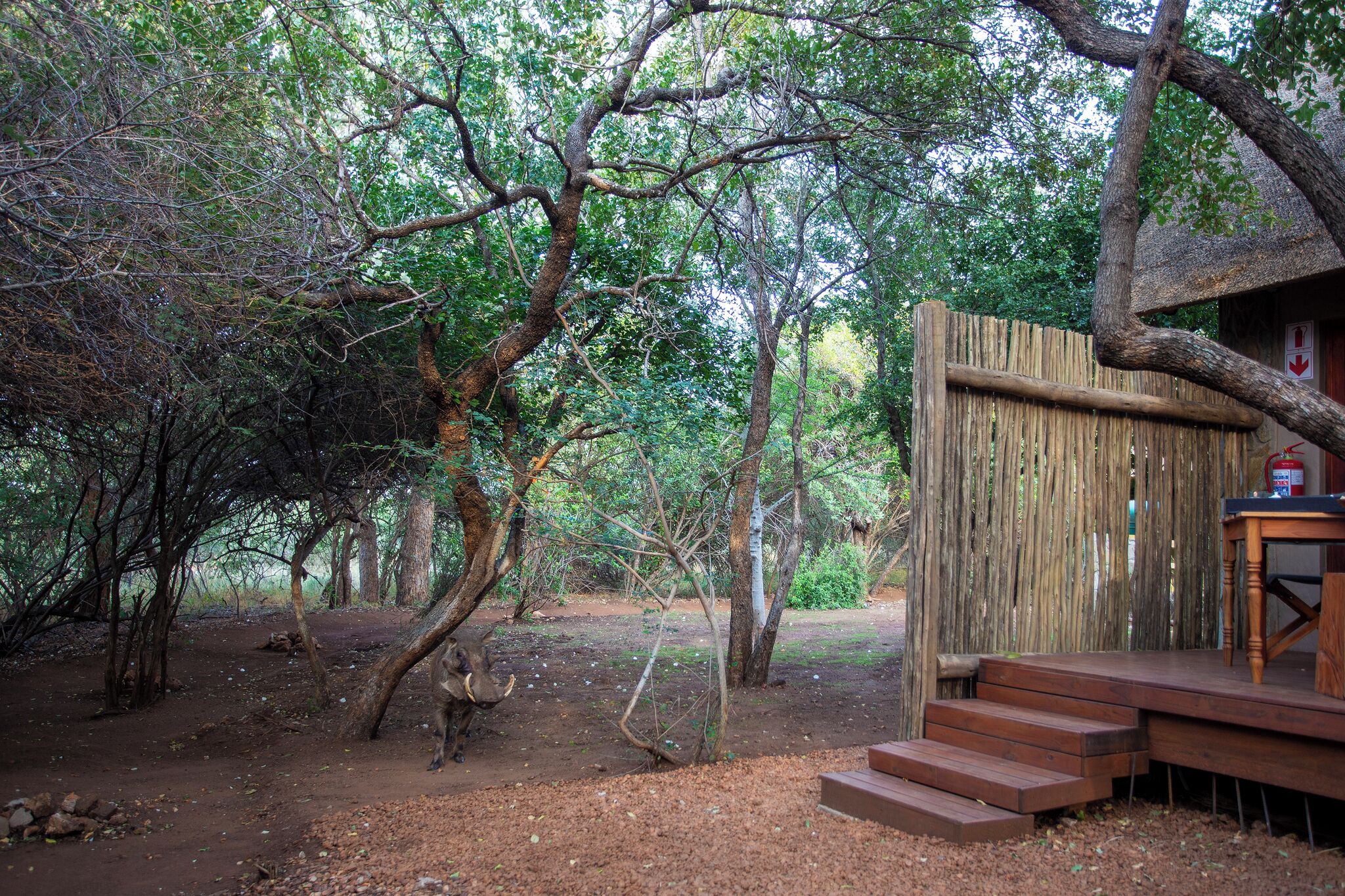 A rustic wooden cabin with a dirt ground and a wooden deck.