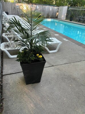 Piscine chauffée