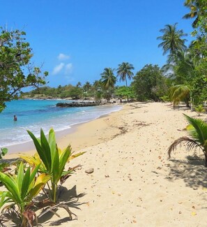 Beach - Ti-Gomyé- apartment with sea view - near beaches and village (Sainte-Luce)