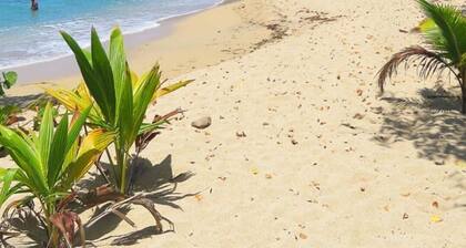 Ti-Gomyé- appartement avec vue sur la mer - proche plages et bourg