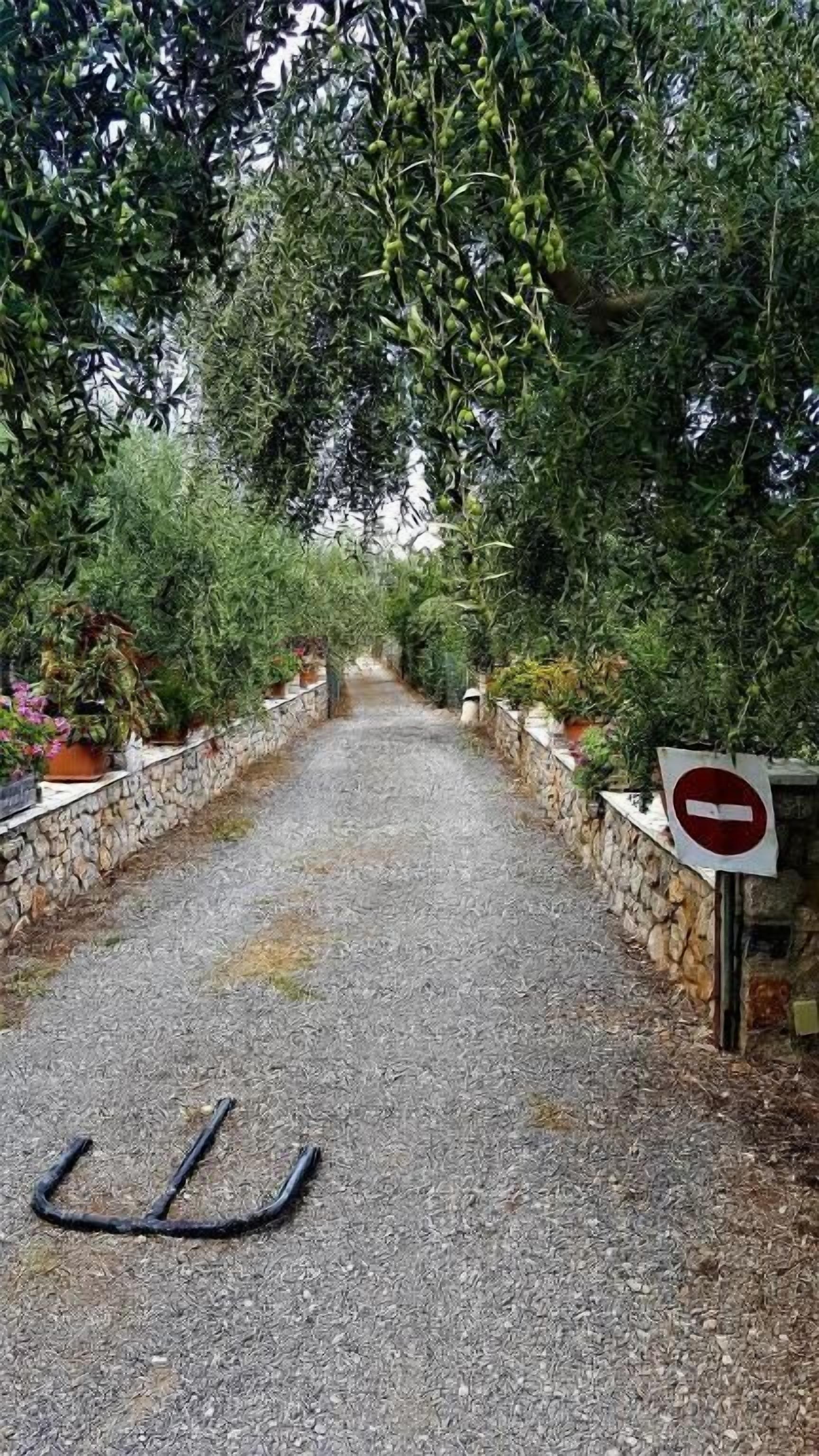 Un camino de grava bordeado por muros de piedra y follaje denso, que conduce a un cartel de prohibido el paso.