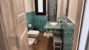 Shower, hair dryer, bidet, towels