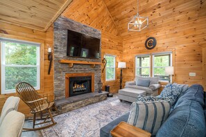Smart TV, fireplace, books, computer monitors