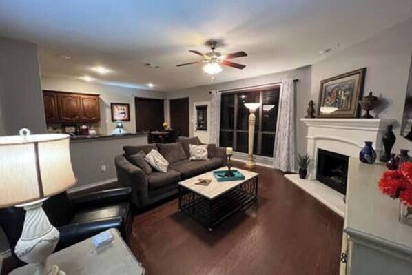 TV, fireplace, books