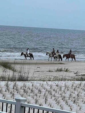 På stranden