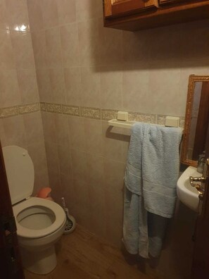 Bidet, towels, toilet paper