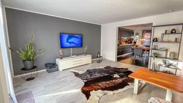 Fernseher