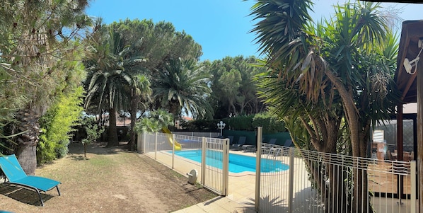 A backyard with a swimming pool, palm trees, and a fenced area with lounge chairs.