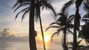 A beach with palm trees and the sun setting in the background.