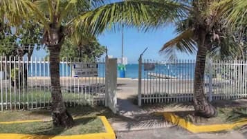 A gated entrance with palm trees, a clear sky, and a view of the sea.