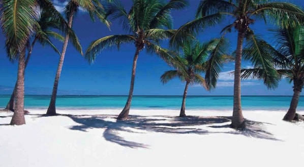 Plage, serviettes de plage