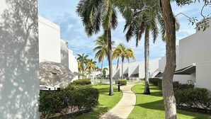A pathway leading to a modern building with white walls and palm trees.
