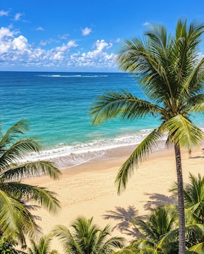 A beach with clear turquoise water, sandy shore, and palm trees.