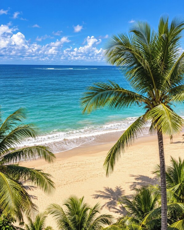 A beach with clear turquoise water, sandy shore, and palm trees.