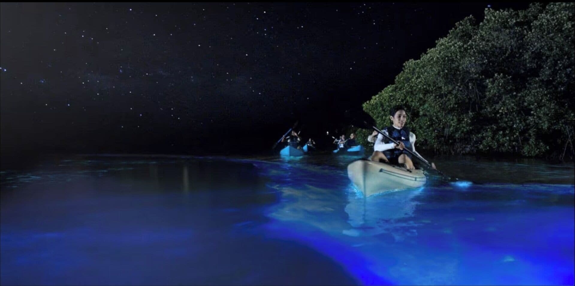 A nighttime scene with a person in a boat on a body of water, surrounded by trees and a starry sky.