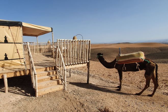 المنطقة المحيطة بالمنشأة