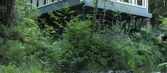 Enchanting bed & breakfast in Cazadero