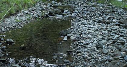 Enchanting bed & breakfast in Cazadero