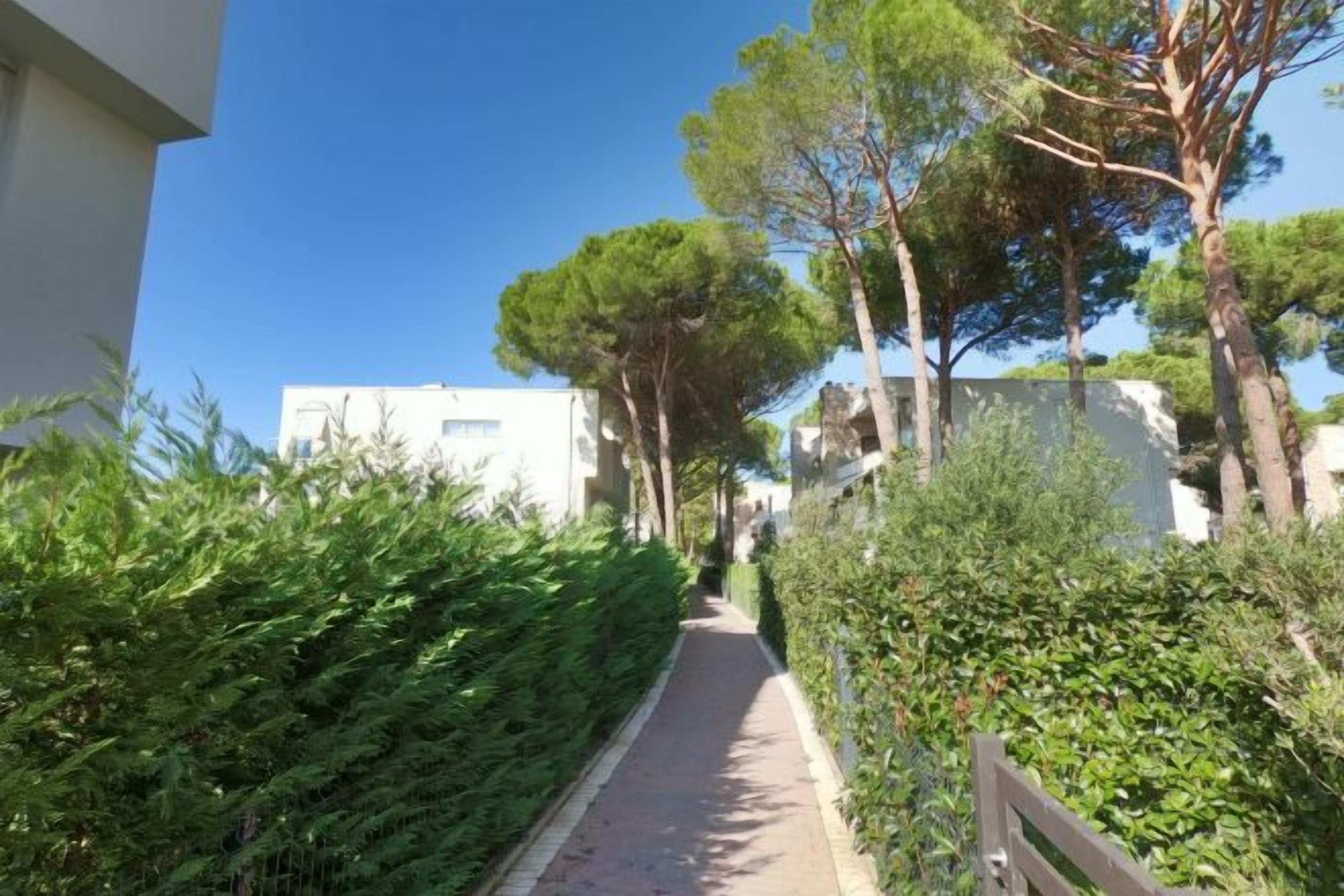 A narrow pathway flanked by dense greenery and buildings, leading to a white building with a visible entrance.