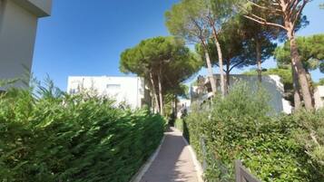 A narrow pathway flanked by dense greenery and buildings, leading to a white building with a visible entrance.