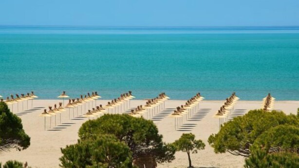 A beach with rows of sun loungers and umbrellas, trees in the foreground, and a clear view of the sea. - Pinegrove Apartment (Durres)
