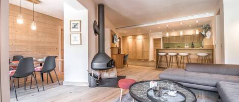 Smart TV, fireplace, books