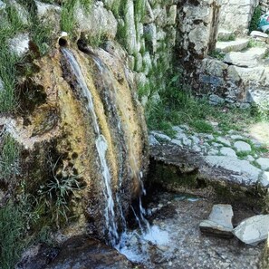 เดินป่า