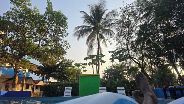 A poolside area with lounge chairs, a palm tree, and a building in the background. - SAAZ RESORT AND LAWN (Khalapur)