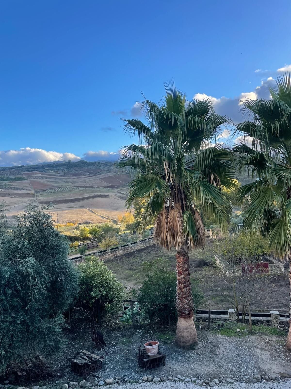 Photo - Hotel Rural Hacienda de Ronda
