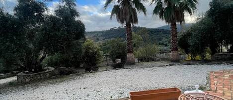 Standard Double Room | Terrace/patio