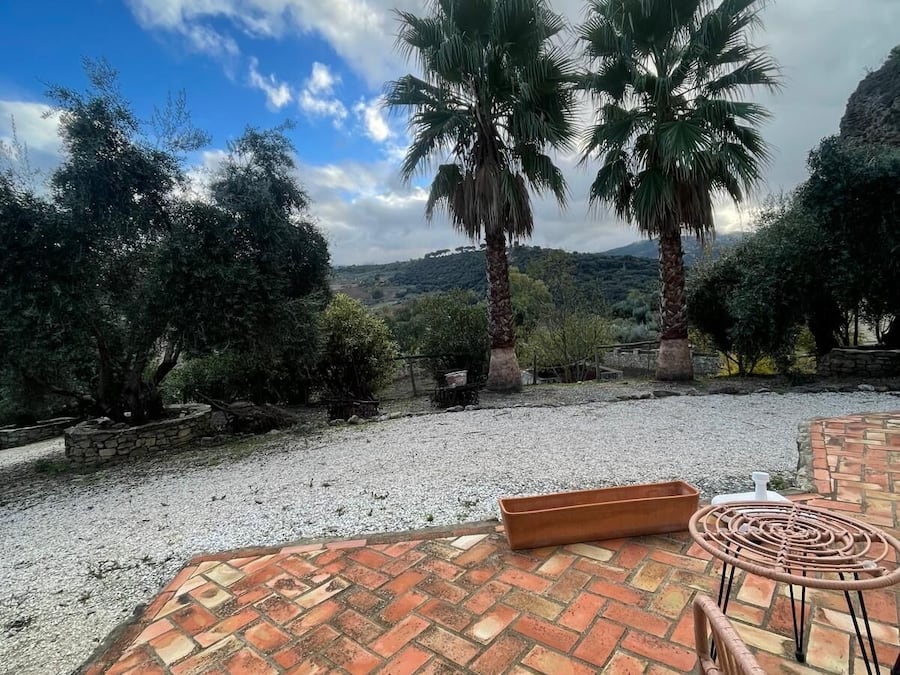 Standard Double Room | Terrace/patio
