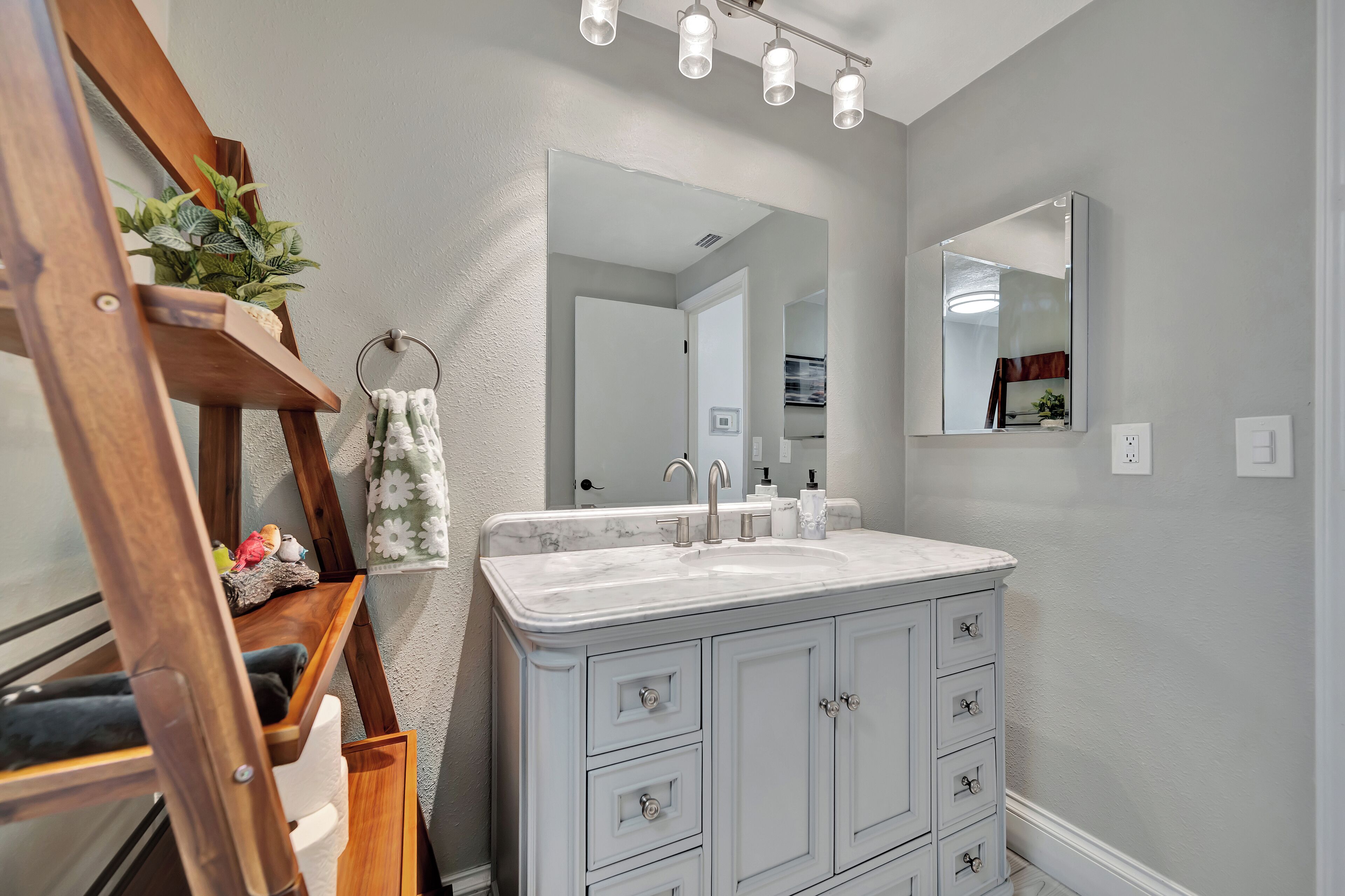 Un bagno con un ampio lavabo, uno specchio e uno scaffale in legno con una pianta.