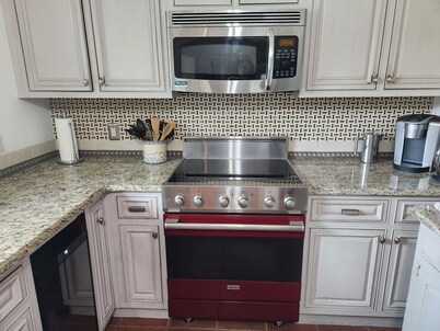 Charming lakefront 3BR 3BA house w/ EV chg in heart of Mt. Dora. Nature abounds.