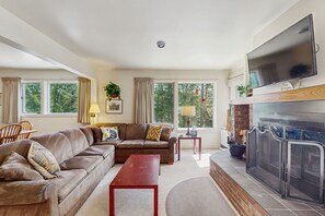 TV, fireplace, books