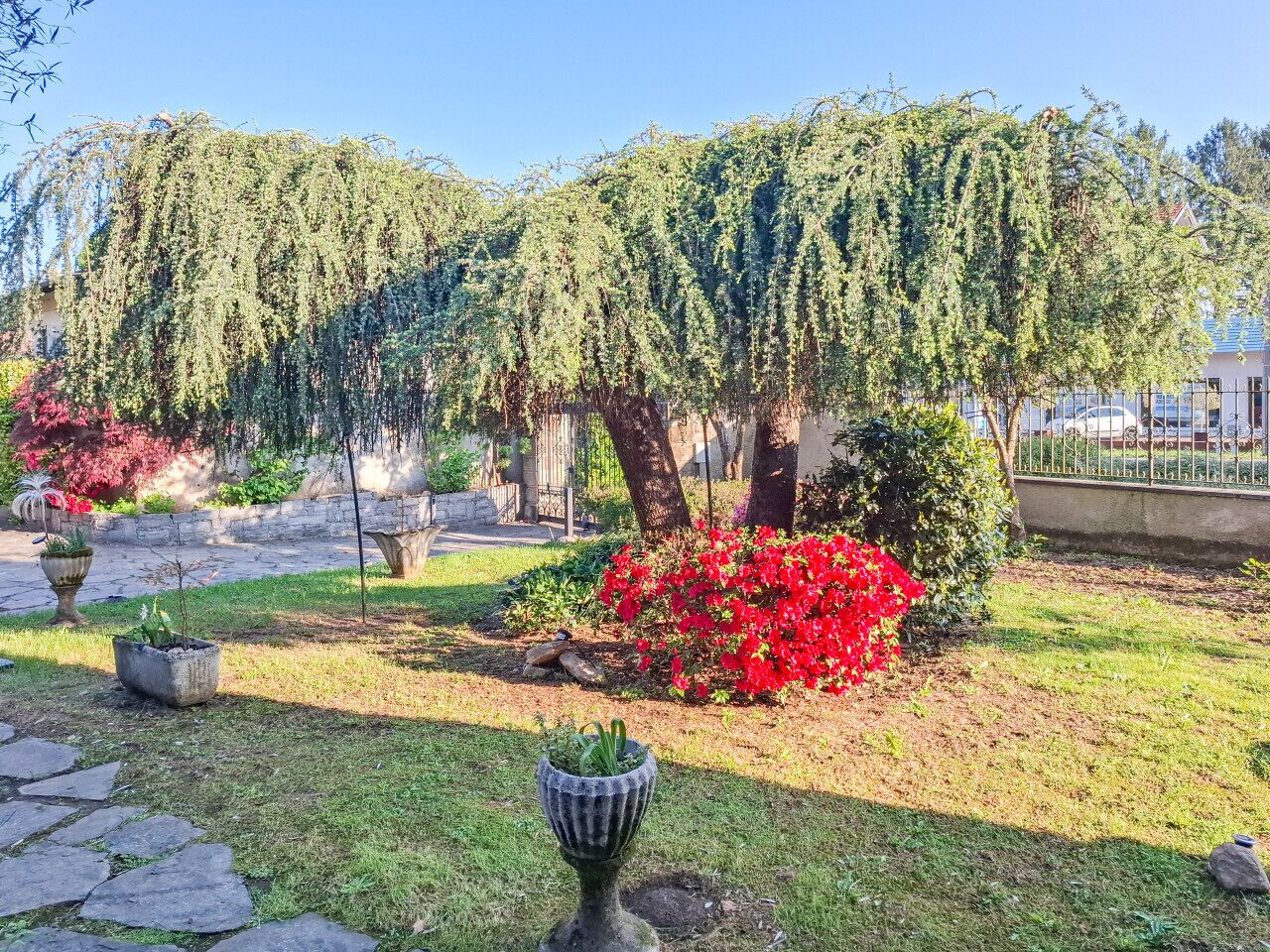 Parco della struttura