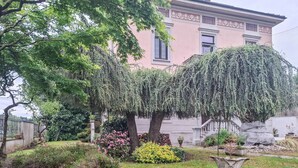 Un jardín con un árbol grande, un edificio rosa y un banco de piedra.