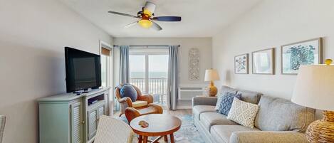 电视、DVD 播放器