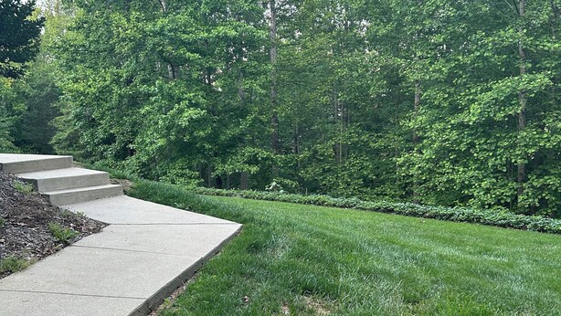 Eine gepflegte Grünanlage mit einem Betonweg und Rasenfläche.