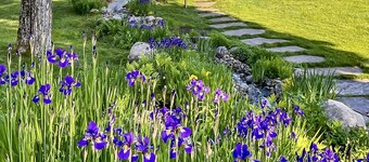 Stunning 5 bed 5 bath cottage on Lake Rosseau