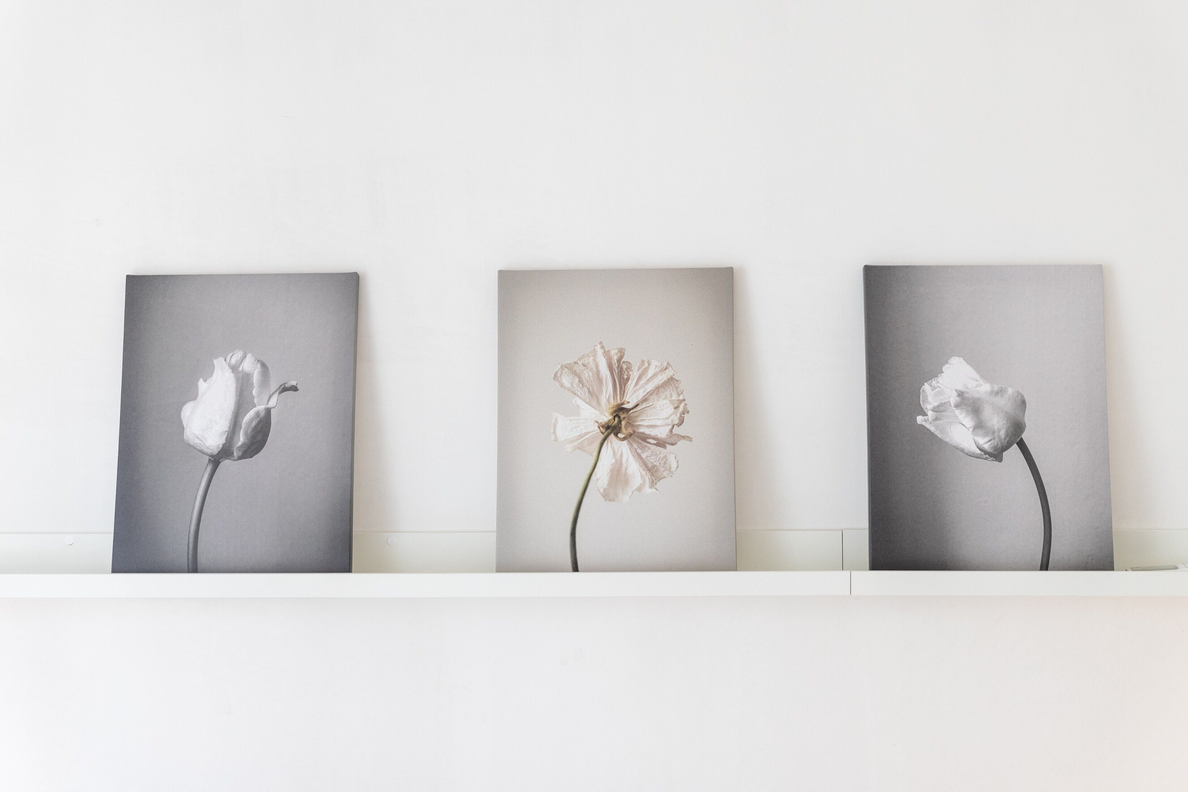 Tres obras de arte florales enmarcadas sobre un estante blanco frente a una pared lisa.