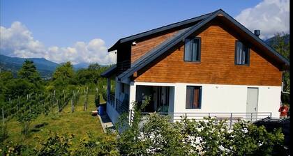 House in the Vineyard